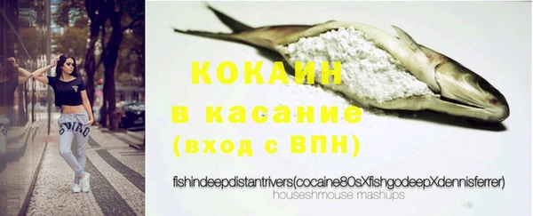 ПСИЛОЦИБИНОВЫЕ ГРИБЫ Верея