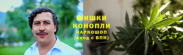 тгк Володарск