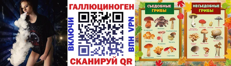 Галлюциногенные грибы Magic Shrooms Вятские Поляны